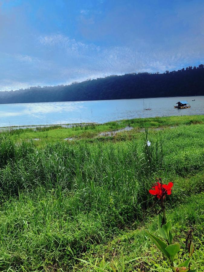 Buyan View